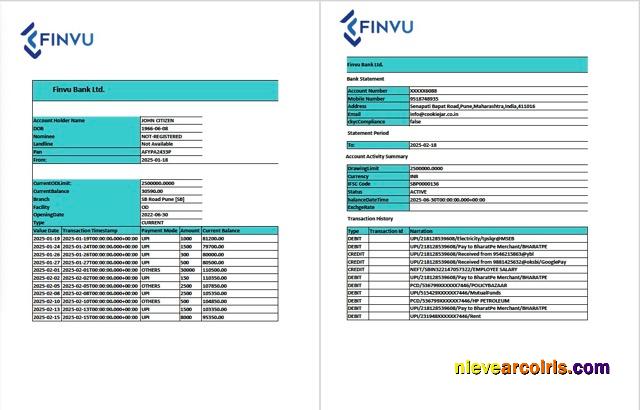 India Finvu Bank Ltd. account statement Word and PDF, 2 pages